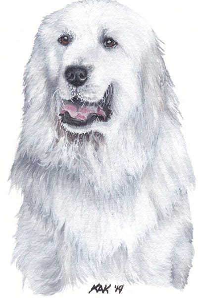 Great Pyrenees: Great Pyrenees by KAK Art & Designs