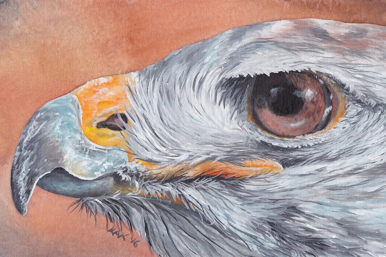 Hawk Eye