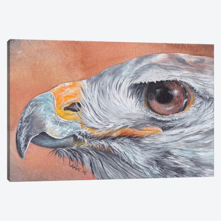 Hawk Eye Canvas Print #KKD55} by KAK Art & Designs Canvas Print