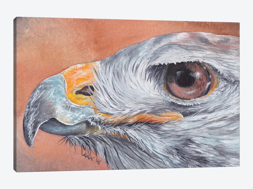Hawk Eye by KAK Art & Designs 1-piece Canvas Artwork