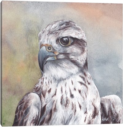 Hawk Canvas Art Print - KAK Art & Designs