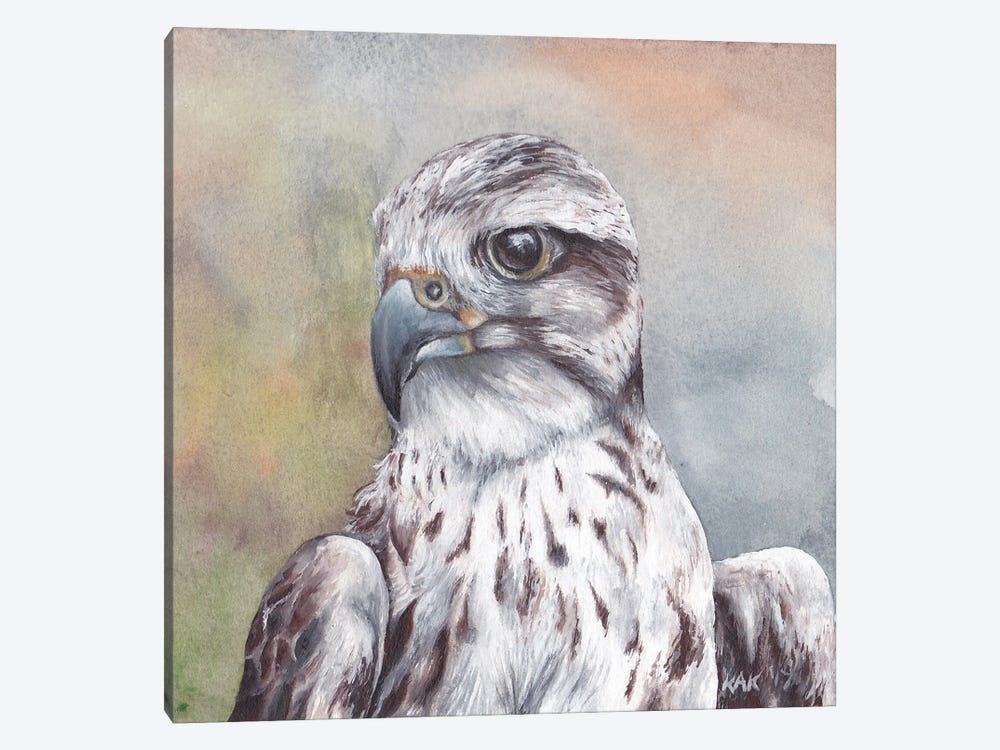 Hawk by KAK Art & Designs 1-piece Canvas Art Print