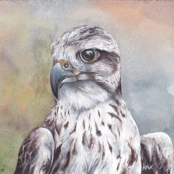 KAK Art & Designs: Hawk by KAK Art & Designs