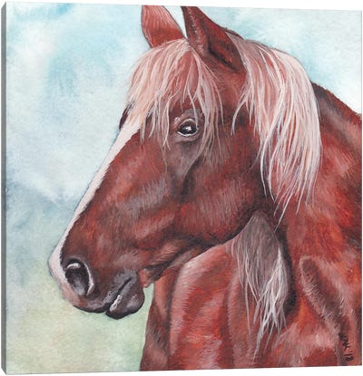 Horse Canvas Art Print - KAK Art & Designs
