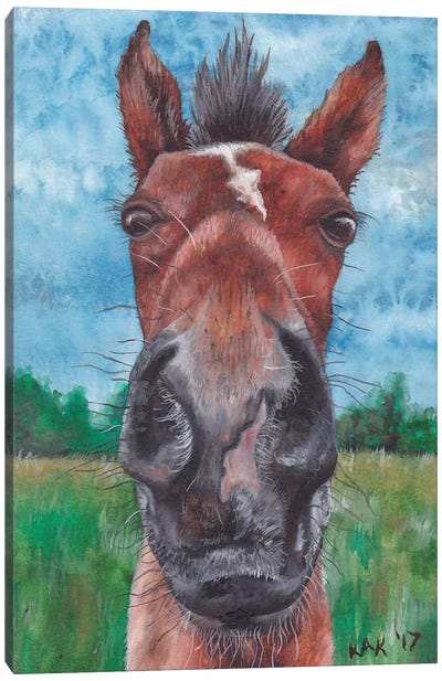 Horse Head Canvas Art Print - KAK Art & Designs