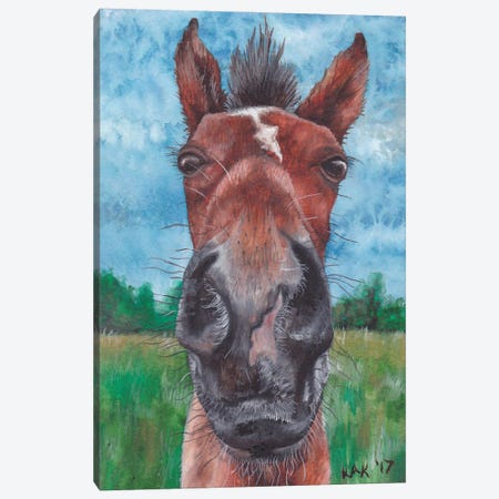 Horse Head Canvas Print #KKD59} by KAK Art & Designs Canvas Art