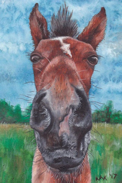 KAK Art & Designs: Horse Head by KAK Art & Designs