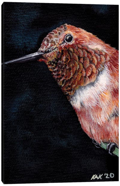 Hummingbird II Canvas Art Print - KAK Art & Designs