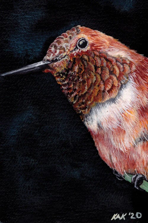 Hummingbird II