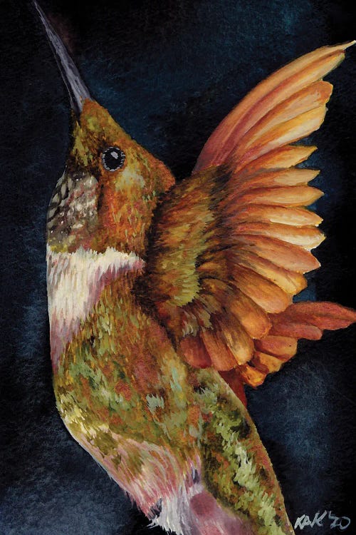 Hummingbird III