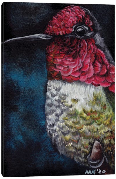 Hummingbird IV Canvas Art Print - KAK Art & Designs