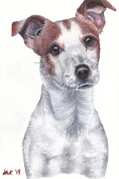 Jack Russell Terriers: Jack Russell Terrier by KAK Art & Designs