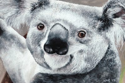 Koala by KAK Art & Designs art print