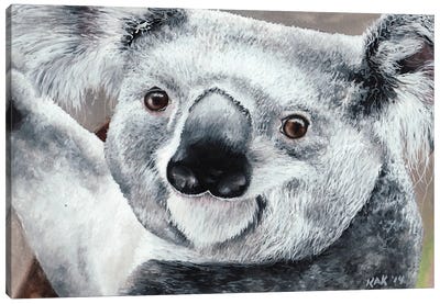 Koala Canvas Art Print - KAK Art & Designs