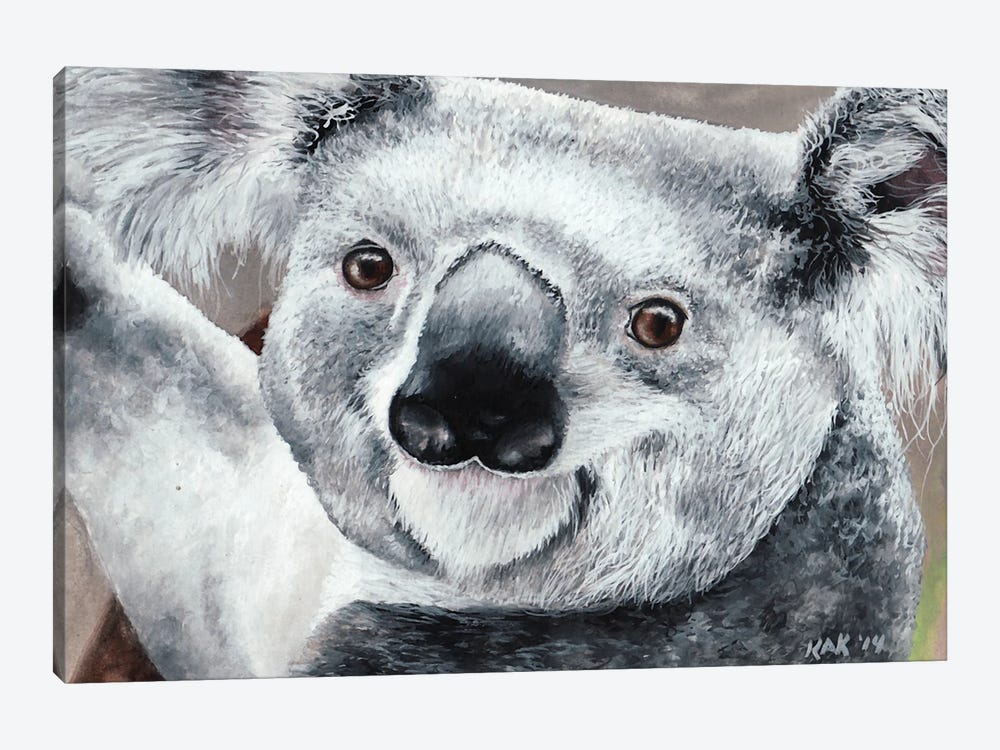 Koala by KAK Art & Designs 1-piece Canvas Art