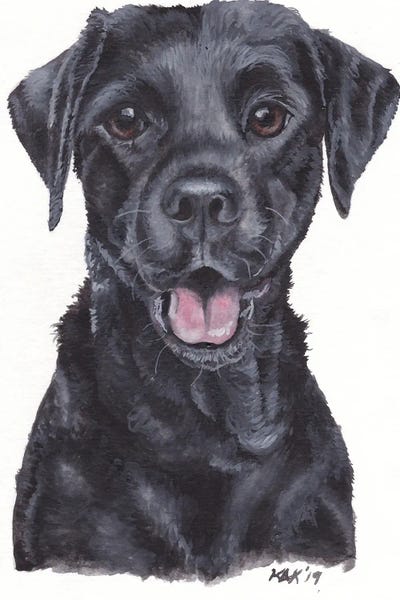 KAK Art & Designs: Black Lab by KAK Art & Designs