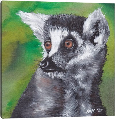 Lemur Canvas Art Print - KAK Art & Designs