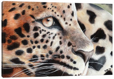 Leopard Canvas Art Print - Eyes