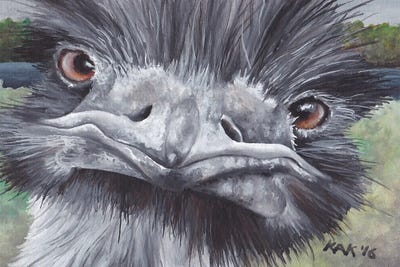 Ostrich by KAK Art & Designs framed wall art