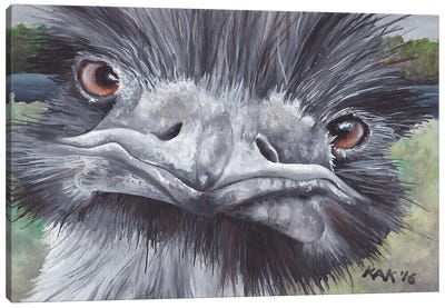 Ostrich Canvas Art Print - Ostrich Art