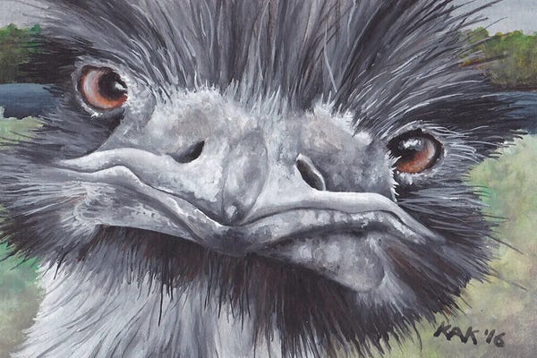Ostriches: Ostrich by KAK Art & Designs