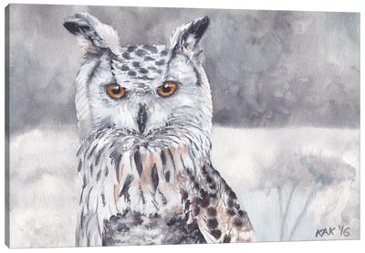 Snow Owl Canvas Art Print - KAK Art & Designs