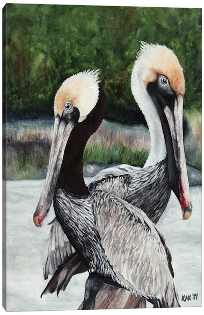 Pair Of Pelicans Canvas Art Print - KAK Art & Designs