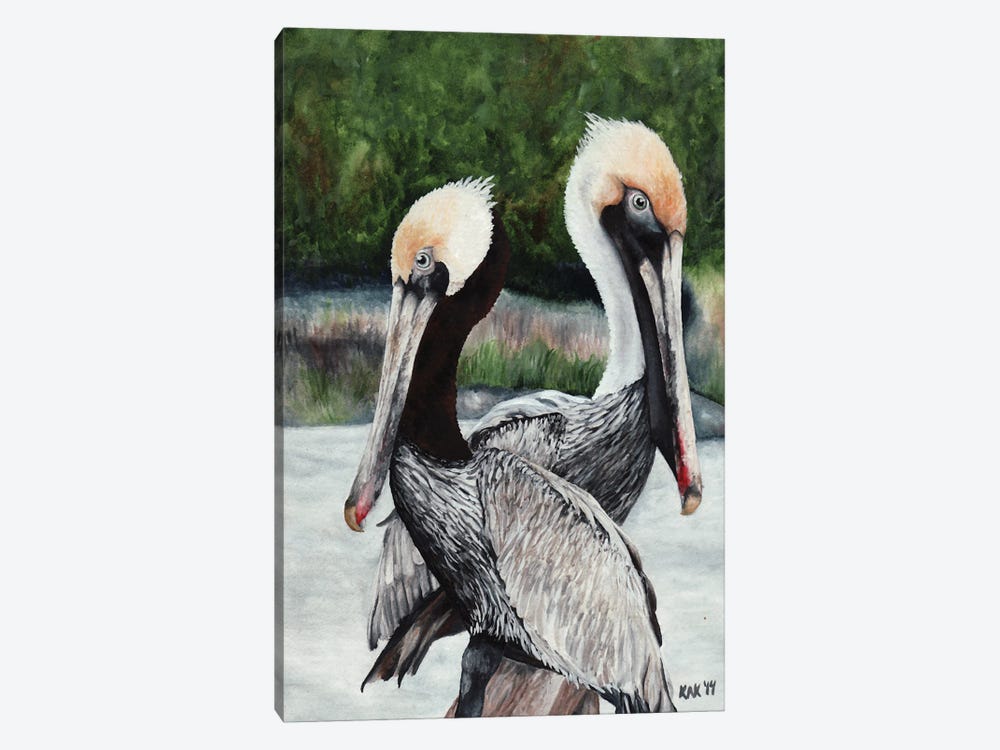 Pair Of Pelicans by KAK Art & Designs 1-piece Canvas Artwork