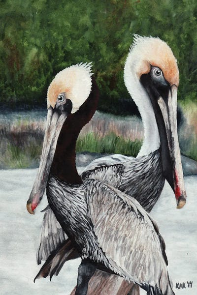 KAK Art & Designs: Pair Of Pelicans by KAK Art & Designs