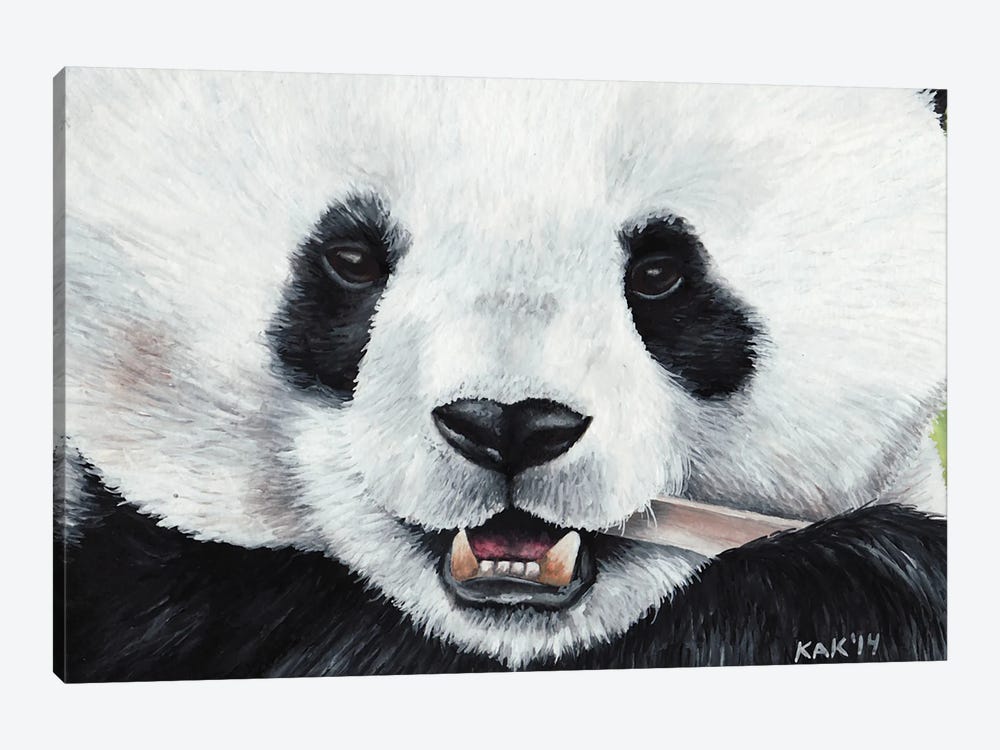 Panda by KAK Art & Designs 1-piece Canvas Print