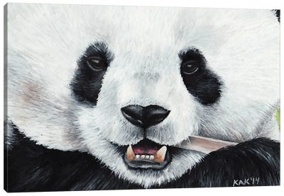 Panda Canvas Art Print - KAK Art & Designs