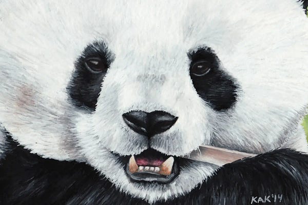 Pandas: Panda by KAK Art & Designs