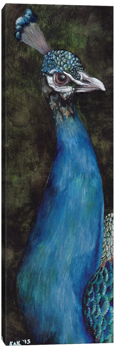 Peacock I Canvas Art Print - KAK Art & Designs