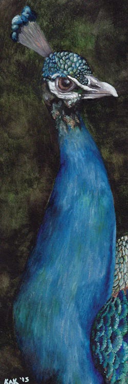 Peacock I