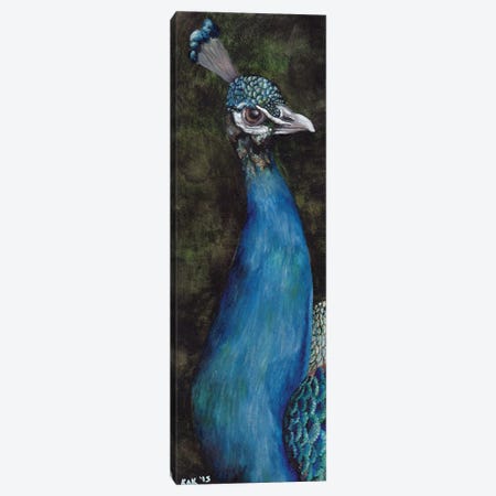 Peacock I Canvas Print #KKD75} by KAK Art & Designs Canvas Art Print