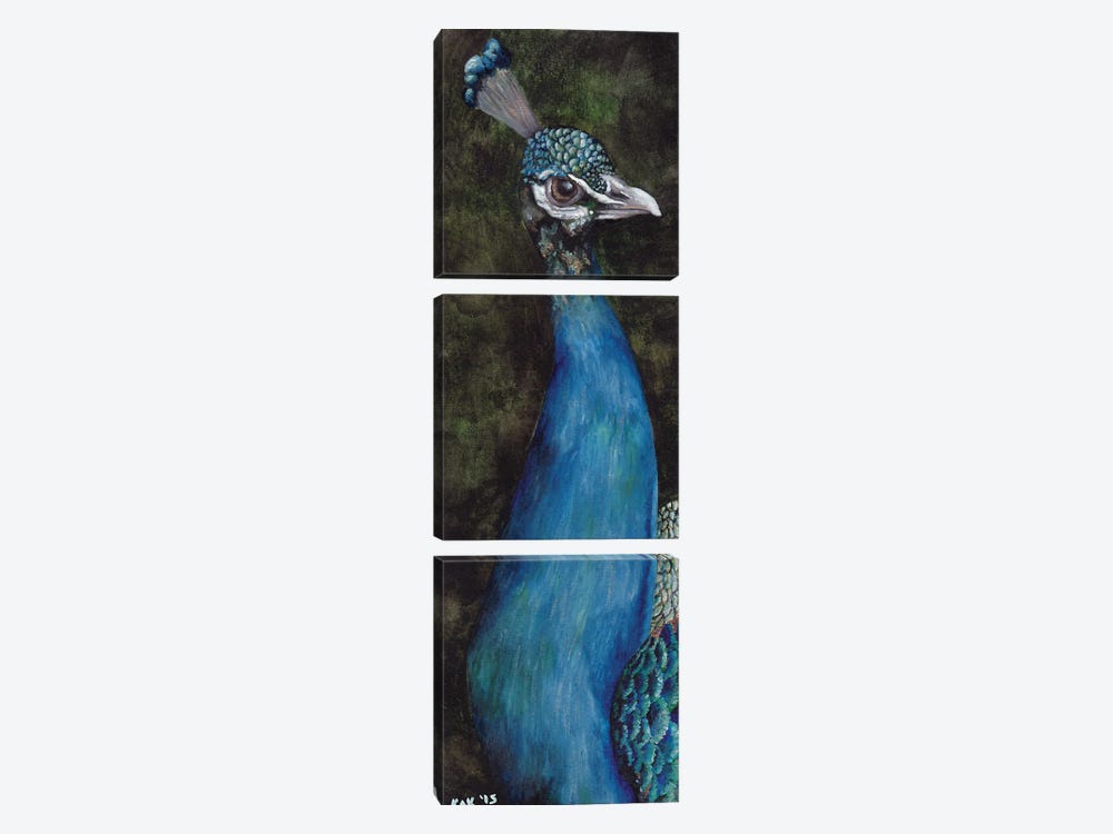 Peacock I by KAK Art & Designs 3-piece Canvas Art