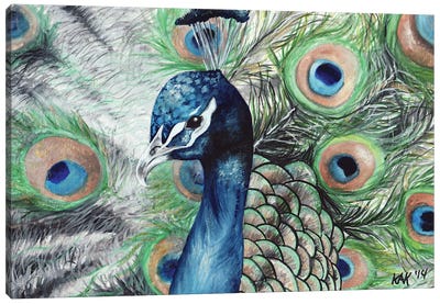 Peacock II Canvas Art Print - Feather Art