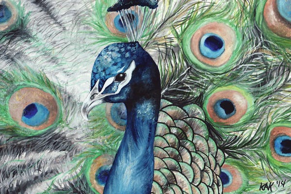 The Art Of The Feather: Peacock II by KAK Art & Designs