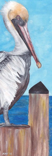 KAK Art & Designs: Pelican by KAK Art & Designs
