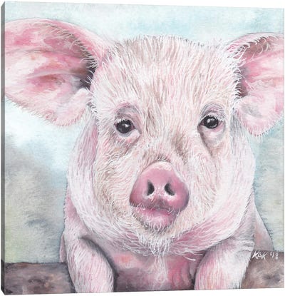 Pig I Canvas Art Print - KAK Art & Designs