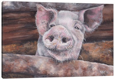 Pig II Canvas Art Print - KAK Art & Designs