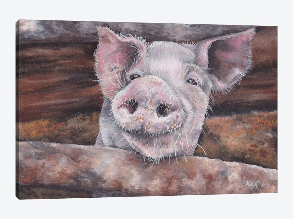 Pig II by KAK Art & Designs 1-piece Canvas Artwork