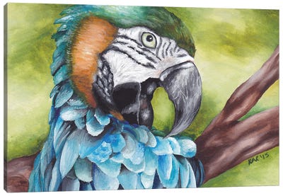Blue Macaw Canvas Art Print - Parrot Art