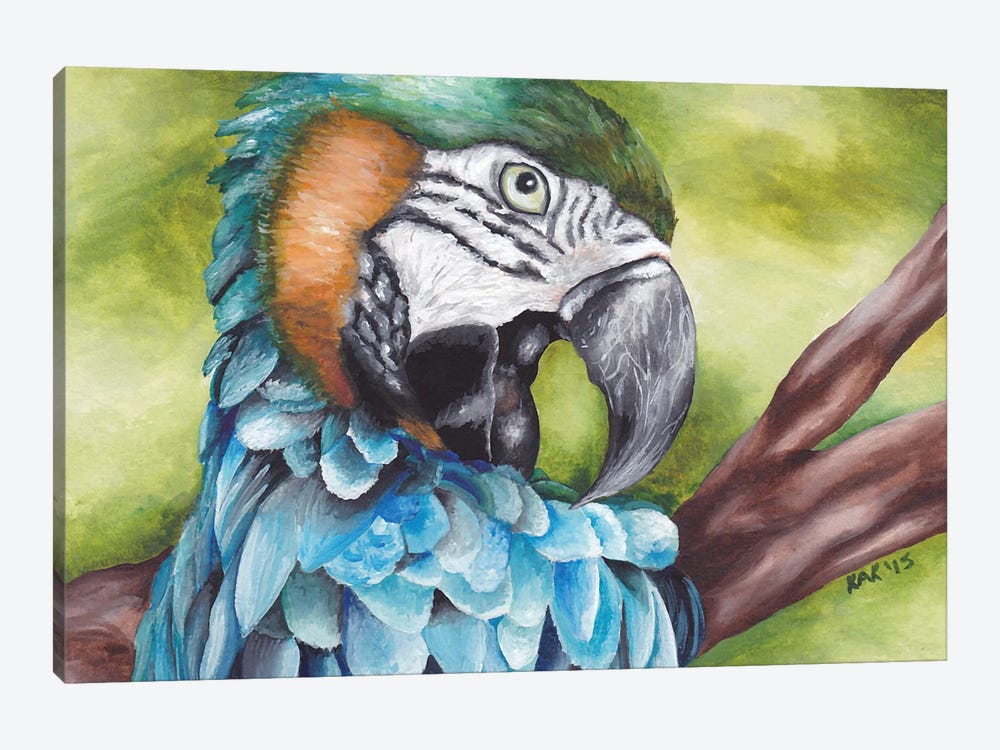 Blue Macaw by KAK Art & Designs 1-piece Canvas Art