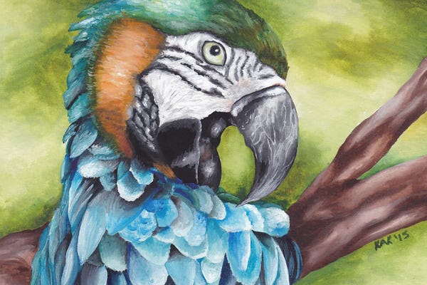 Macaws: Blue Macaw by KAK Art & Designs