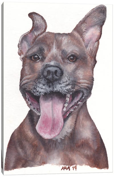 Pit Bull Canvas Art Print - American Pit Bull Terriers
