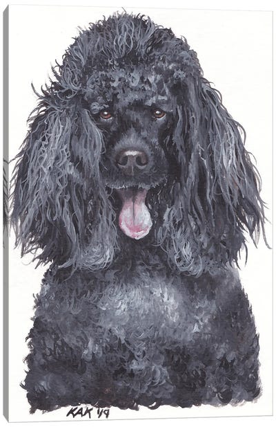Poodle Canvas Art Print - KAK Art & Designs