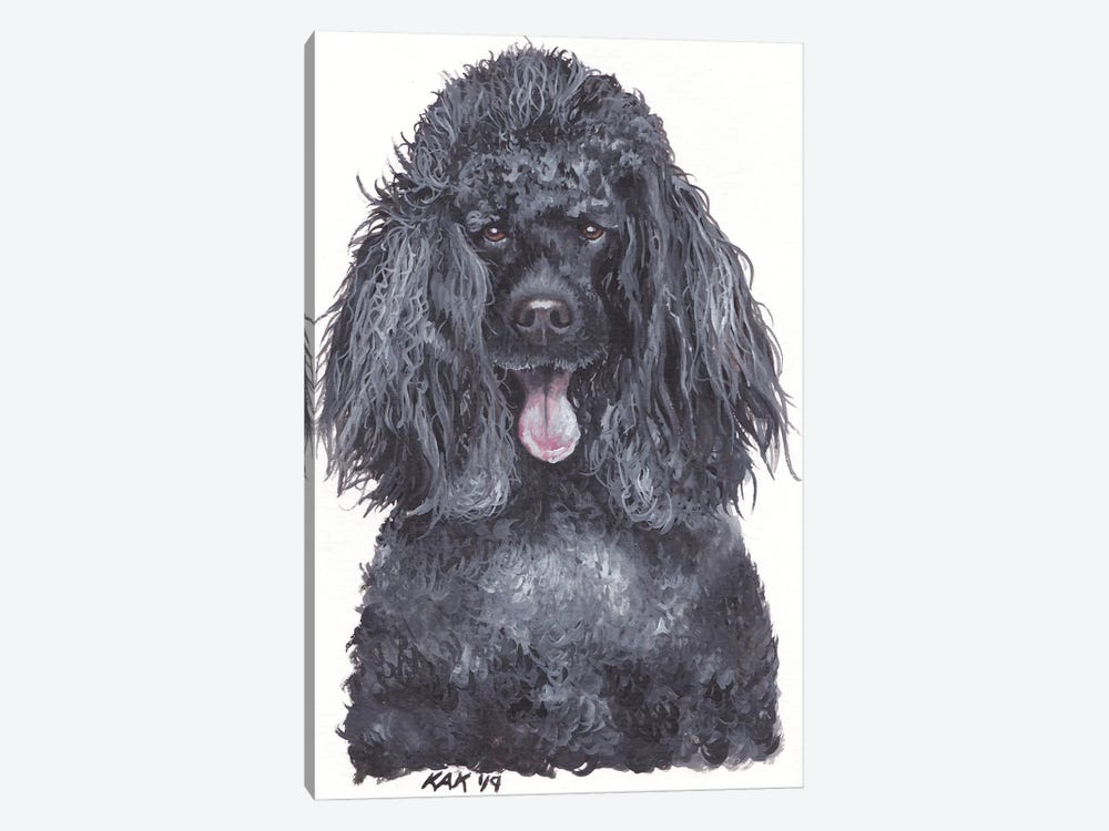 Poodle by KAK Art & Designs 1-piece Canvas Print