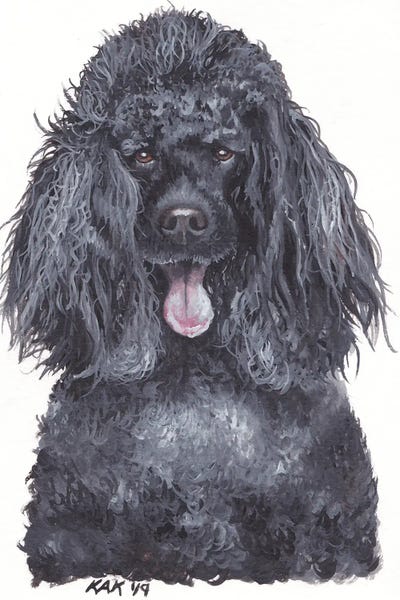 Poodles: Poodle by KAK Art & Designs
