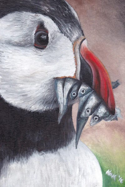 Puffin by KAK Art & Designs framed wall art